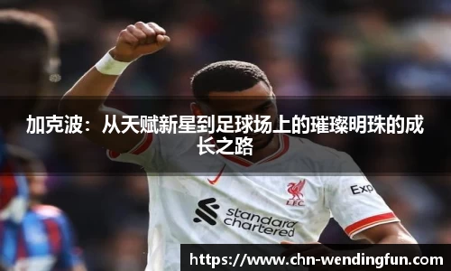 加克波：从天赋新星到足球场上的璀璨明珠的成长之路