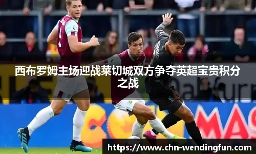 西布罗姆主场迎战莱切城双方争夺英超宝贵积分之战