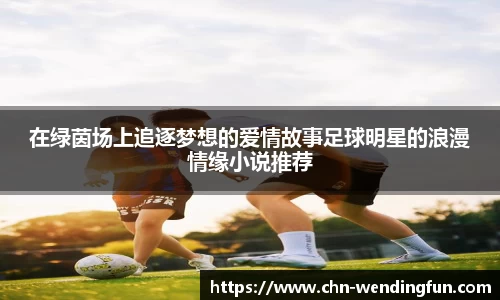 在绿茵场上追逐梦想的爱情故事足球明星的浪漫情缘小说推荐