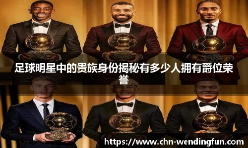 足球明星中的贵族身份揭秘有多少人拥有爵位荣誉